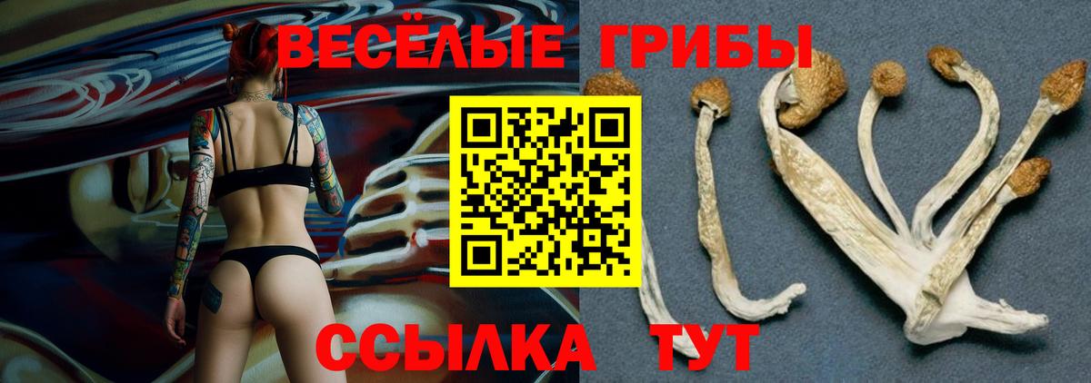 Ханты-Мансийск  Псилоцибиновые грибы Psilocybine cubensis  Вход с VPN 